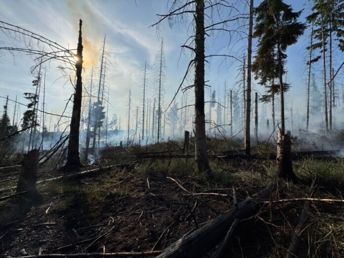 Das Feuer war zwischen dem Möhneseeturm und der Ortschaft Neuhaus ausgebrochen. 