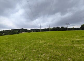 Auf diesem Gelände in Wuppertal-Dönberg errichten die WSW Wuppertals erste Freiflächen-Solaranlage. Foto: WSW