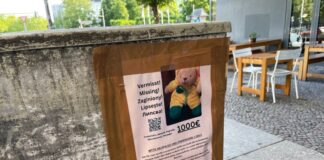 Neben den Plakaten auf Deutsch bittet auch ein eigener Webauftritt auf Englisch, Polnisch, Rumänisch und Bulgarisch um Hinweise zu dem gestohlenen Plüschtier.