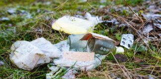 Wer Wälder als Müllhalden nutzt, riskiert ein deftiges Bußgeld. (Symbolbild)