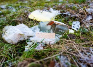 Wer Wälder als Müllhalden nutzt, riskiert ein deftiges Bußgeld. (Symbolbild)