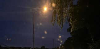 Zeitungen auf der Fahrbahn haben in Viersen den Verkehr gefährdet. 