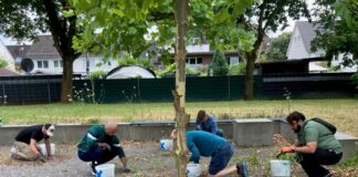 Ein Team der Firma Crem Solutions brachte den Bouleplatz wieder auf Vordermann. Foto: Stadt Ratingen