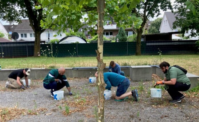 Ein Team der Firma Crem Solutions brachte den Bouleplatz wieder auf Vordermann. Foto: Stadt Ratingen Ein Team der Firma Crem Solutions brachte den Bouleplatz wieder auf Vordermann. Foto: Stadt Ratingen