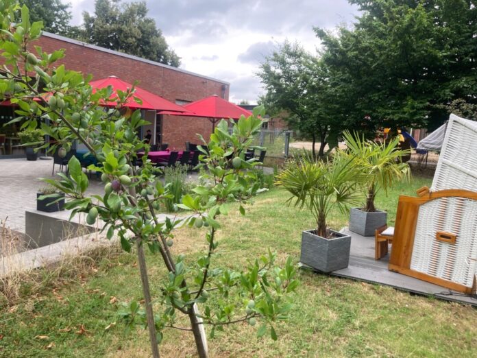 Auf der Wiese neben dem MGT findet das Picknick statt. Foto: Stadt Ratingen