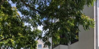 Die neue Bodenmarkierung „Am alten Steinhaus“ sorgt für Ärger. Denn nur wer ganz genau hinschaut, erkennt auf dem Schild rechts den kleinen Hinweis, dass die Zufahrt eigentlich nur mit Ausnahmeregelung erlaubt ist. Foto: B90/DIE GRÜNEN Ratingen.