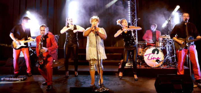Tina Turner Show