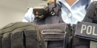 Wem die Flusskrebse gehören, ist bislang unklar.