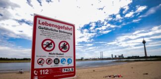 Immer wieder kommt es zu tödlichen Badeunfällen am Rhein. (Symbolbild)