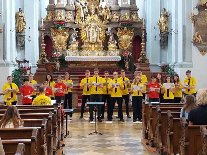 Rund 4.500 Teilnehmer waren in München dabei, darunter auch eine Gruppe aus der Kreisstadt. Foto: Matthias Röttger