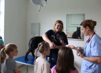 Bei dem Besuch in der Tierklinik konnten die Kinder viel lernen. Foto: Stadt Erkrath