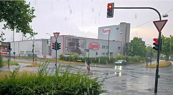 Harry Btot in Tiefenbroich, Bild: Privat