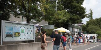 13. Homberger Sommerfest, Bild: Alexander Heinz