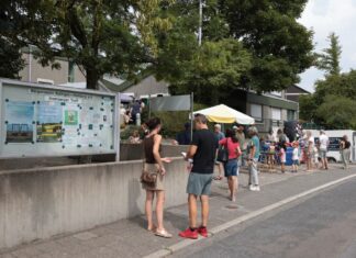 13. Homberger Sommerfest, Bild: Alexander Heinz