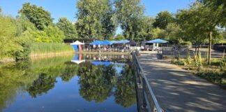 Der Stadthallenteich (See) ist nicht nur für die Sommerbühne ein gerne gewählter Treffpunkt, Bild: Alexander Heinz