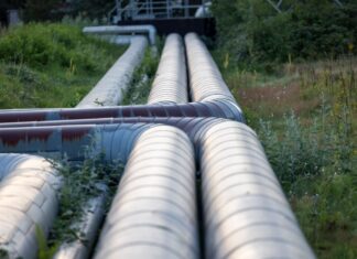 Bevor Europas größte Flusswasser-Wärmepumpe in Köln gebaut werden kann, muss erst noch geklärt werden, wie man die herausgefilterten Fische ökologisch neutral wieder in den Rhein zurückführen kann. (Archivbild)