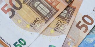 Der Finderlohn für einen gestohlenen Plüsch-Teddy beträgt nun satte 5.000 Euro. (Archivbild)