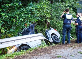 Der 27-jährige Fahrer konnte schwer verletzt aus dem Auto befreit werden.