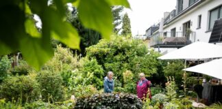 Am Tag der Offenen Gartenpforte bieten Hobbygärtner Einblicke in ihre Grünanlagen.