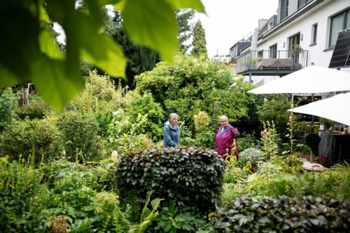Am Tag der Offenen Gartenpforte bieten Hobbygärtner Einblicke in ihre Grünanlagen.