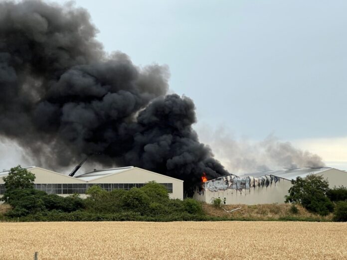 300 Feuerwehrleute versuchen den Großbrand zu löschen.