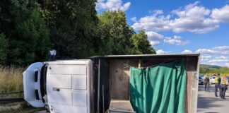 Drei Insassen des Pritschenwagens wurden schwer verletzt.