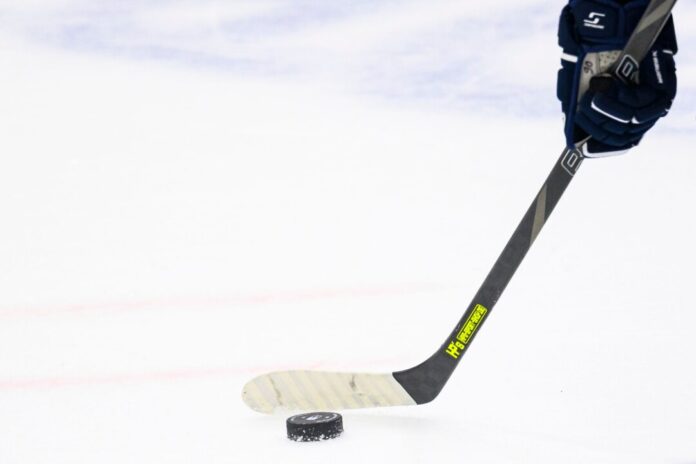 Die Iserlohn Roosters haben einen neuen Eishockey-Profi verpflichtet