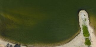 An diesem kleinen Strandabschnitt bei Rheinkilometer 729 in Himmelgeist ist am Vorabend ein sechs Jahre alter Junge im Rhein abgetrieben worden.
