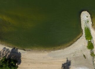 An diesem kleinen Strandabschnitt bei Rheinkilometer 729 in Himmelgeist ist am Vorabend ein sechs Jahre alter Junge im Rhein abgetrieben worden.