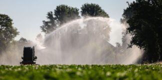 Die Temperaturen in NRW können am Mittwoch bis zu 39 Grad erreichen. Auf den Feldern fehlt es schon jetzt an Wasser.