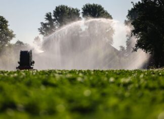 Die Temperaturen in NRW können am Mittwoch bis zu 39 Grad erreichen. Auf den Feldern fehlt es schon jetzt an Wasser.