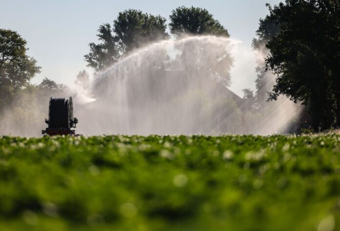 Die Temperaturen in NRW können am Mittwoch bis zu 39 Grad erreichen. Auf den Feldern fehlt es schon jetzt an Wasser.