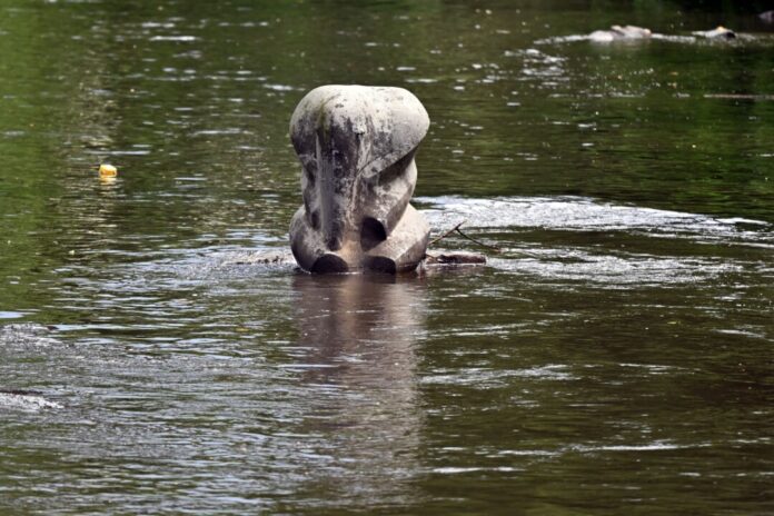 Seit 2020 erinnert mitten in der Wupper eine Skulptur an Tuffi.
