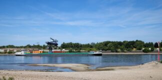 Am Rheinufer bei Duisburg haben Spaziergänger ein abgetrenntes Bein gefunden. (Symbolfoto)