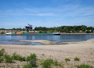 Am Rheinufer bei Duisburg haben Spaziergänger ein abgetrenntes Bein gefunden. (Symbolfoto)
