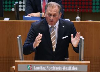 Der CDU-Parlamentarier Dietmar Panske bei einer Plenardebatte (Archivfoto)