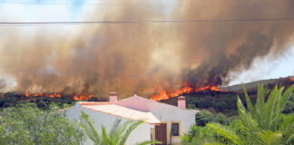 Ein Waldbrand im Urlaub kann die Reise gefährden. Foto: VZ NRW/adpic