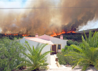 Ein Waldbrand im Urlaub kann die Reise gefährden. Foto: VZ NRW/adpic
