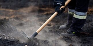Die Feuerwehrleute müssen die Glut bekämpfen, die sich tief in den Waldboden gefressen hat. (Symbolbild)