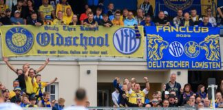 Nach beleidigenden Äußerungen von der Tribüne wurde die Partie kurzzeitig unterbrochen. 