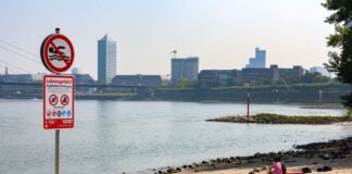 In Düsseldorf ist das Baden im Rhein verboten. (Archivbild)