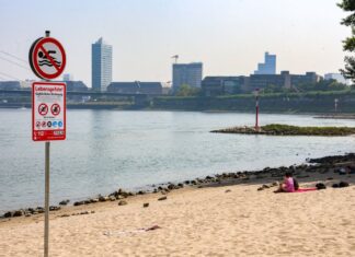 In Düsseldorf ist das Baden im Rhein verboten. (Archivbild)