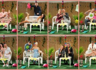 Diese Paare ziehen ins «Sommerhaus der Stars». 