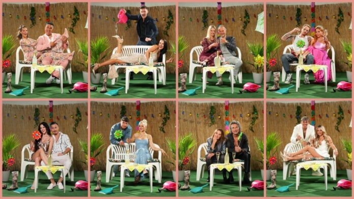 Diese Paare ziehen ins «Sommerhaus der Stars». 