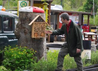 Auch die Rollende Waldschule mit ihrem Obmann für den Lernort Natur, Dominik Börskens, ist am Sonntag beim Bienenzuchtverein, Bild: Alexander Heinz
