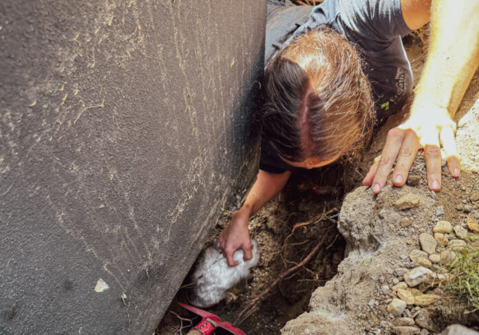 Eine Feuerwehrfrau konnte letztlich beherzt zugreifen und die Katze retten. Foto: FW Erkrath