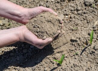 Es wird heiß in NRW - das bedeutet auch Trockenstress für die Böden. (Symbolfoto) 