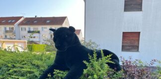 Dieser Plüsch-Panther auf einer Hecke löste einen Polizeieinsatz aus.