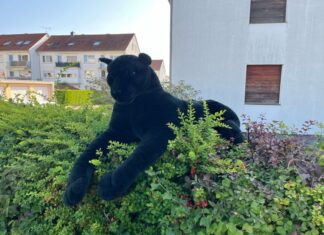 Dieser Plüsch-Panther auf einer Hecke löste einen Polizeieinsatz aus.