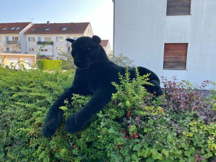 Dieser Plüsch-Panther auf einer Hecke löste einen Polizeieinsatz aus.